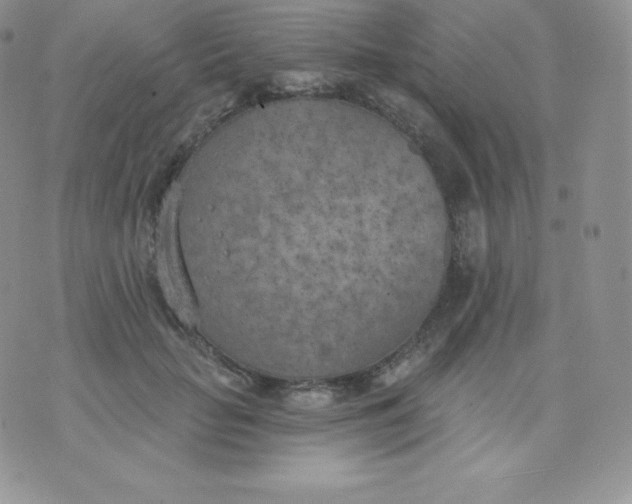 X0000071940653200607281944