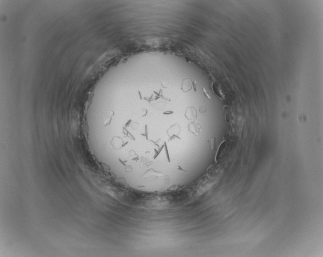 X0000071940656200607281945