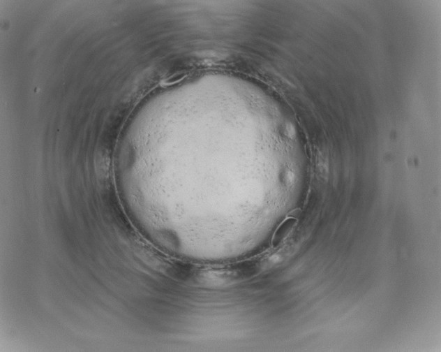 X0000071940657200607281945