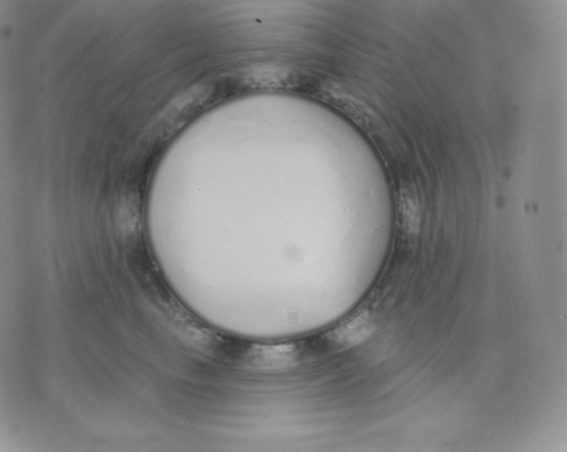 X0000071940665200607281945