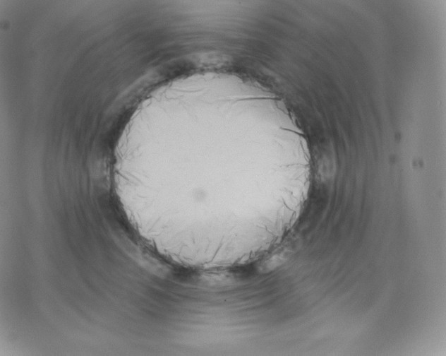 X0000071940666200607281945