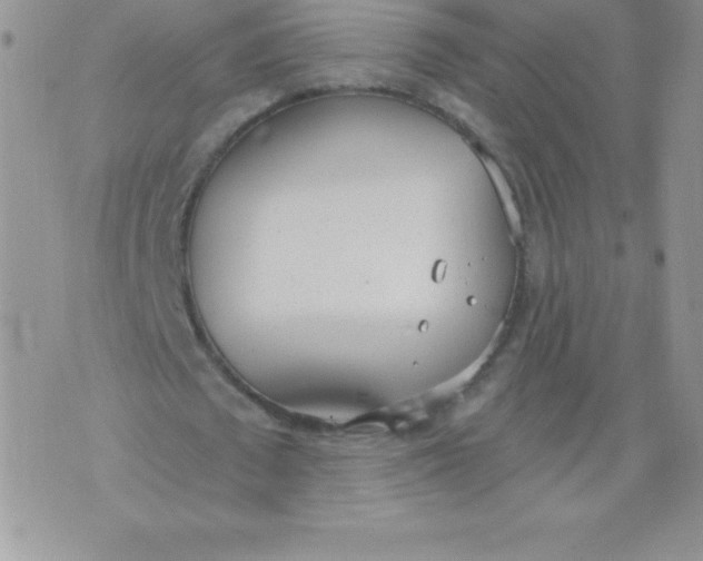 X0000071940673200607281944