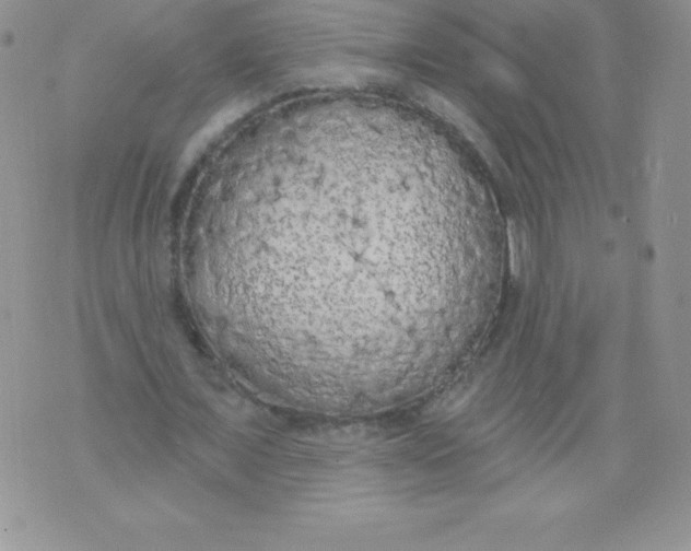 X0000071940675200607281944