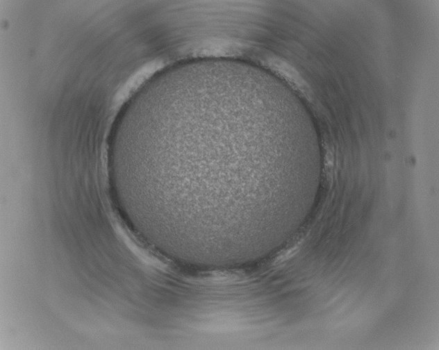 X0000071940678200607281944