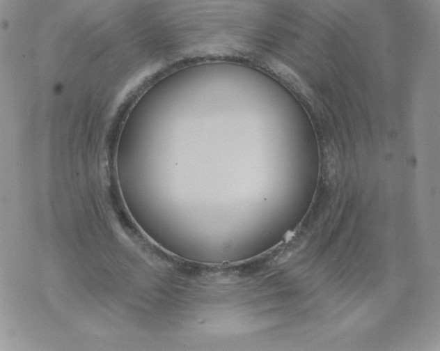 X0000071940680200607281944