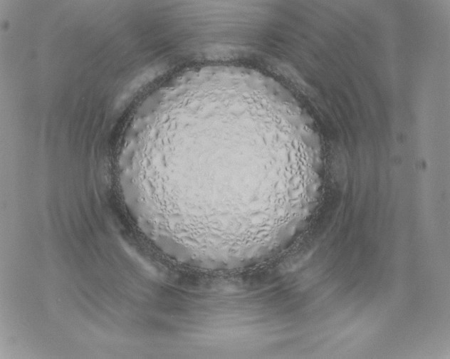 X0000071940683200607281944