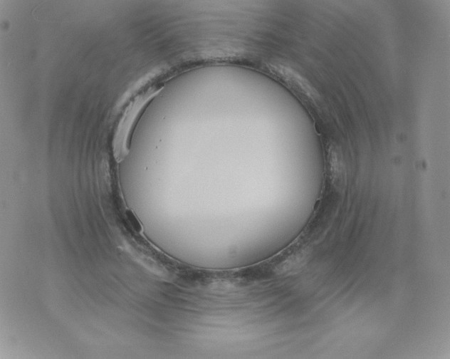 X0000071940684200607281944