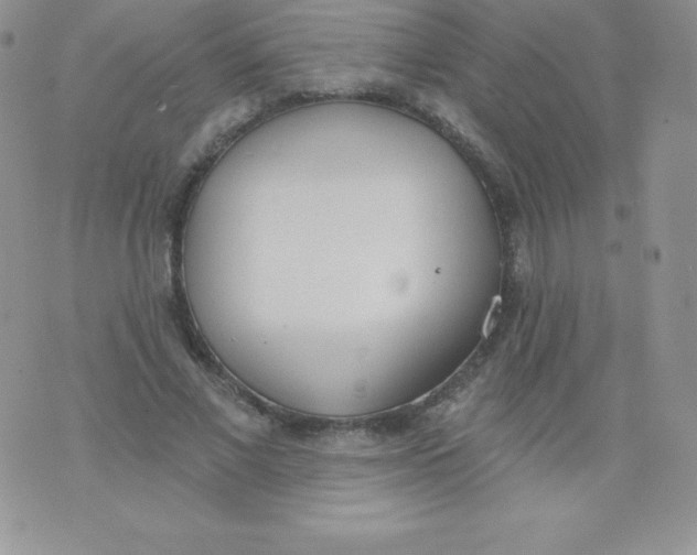 X0000071940685200607281944