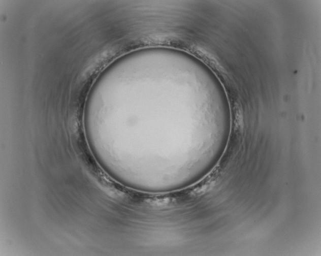 X0000071940687200607281944