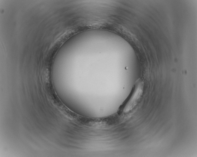 X0000071940689200607281944