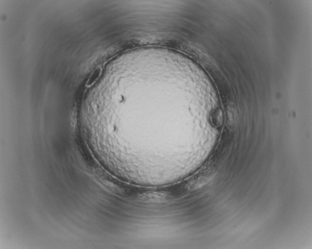 X0000071940691200607281944