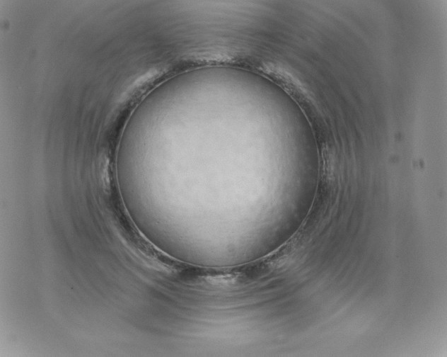 X0000071940692200607281944