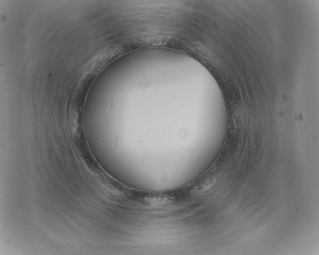 X0000071940693200607281944