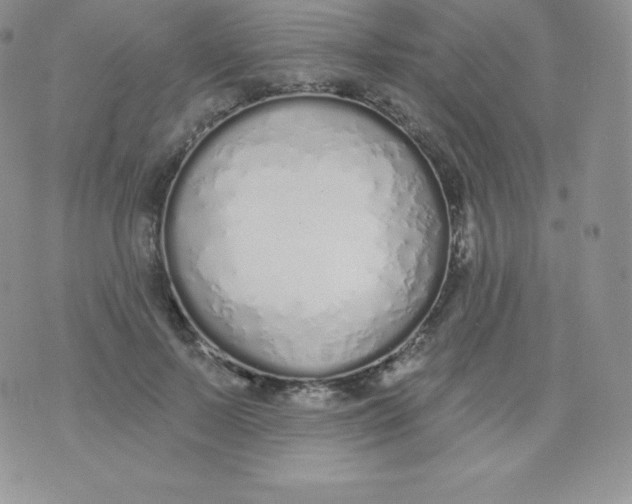 X0000071940695200607281944