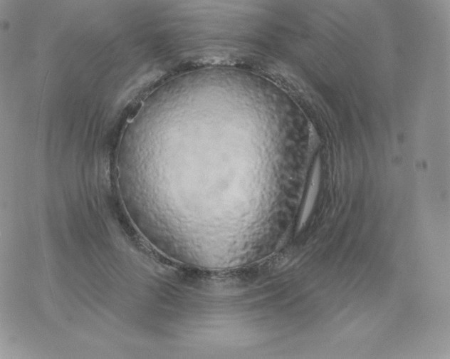 X0000071940696200607281944