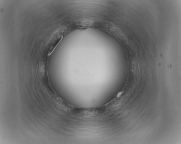 X0000071940697200607281944