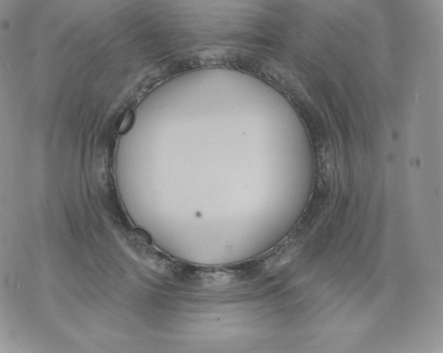 X0000071940698200607281944