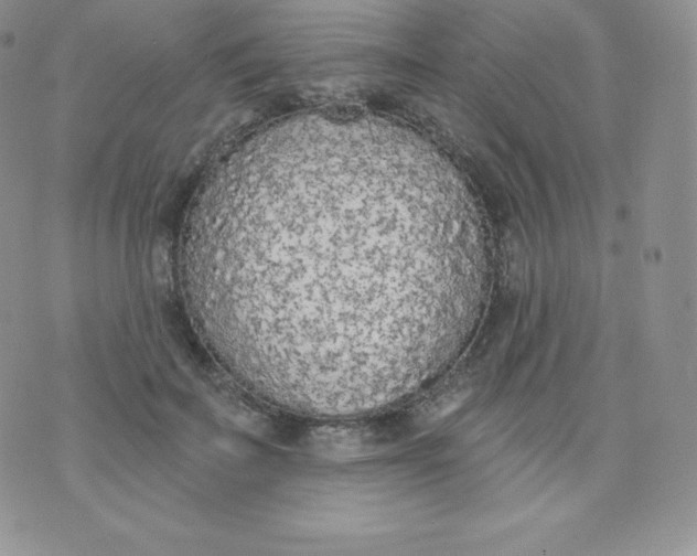 X0000071940699200607281944