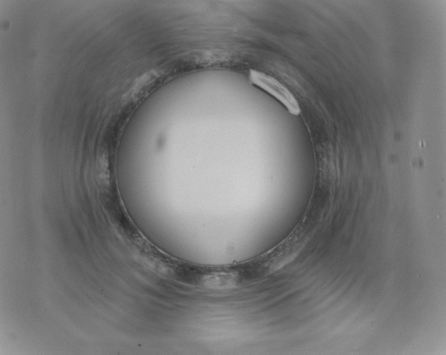 X0000071940700200607281944