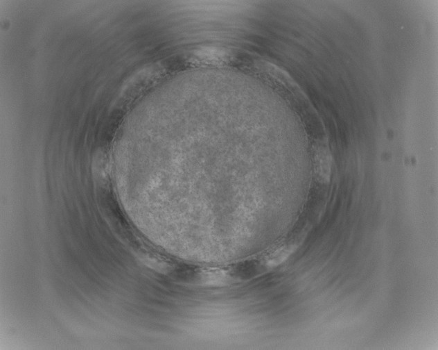 X0000071940701200607281944