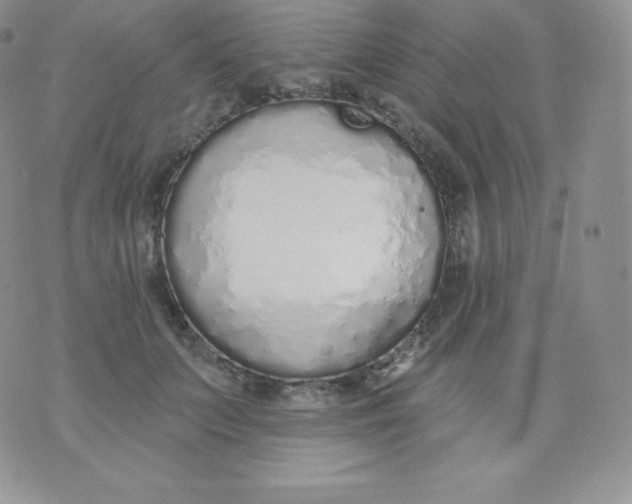 X0000071940703200607281944