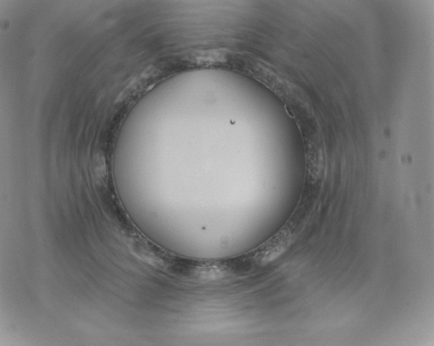 X0000071940704200607281944