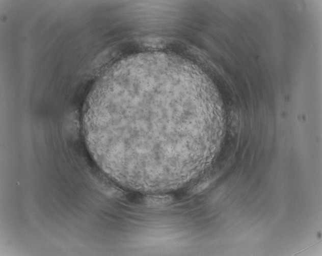 X0000071940707200607281943