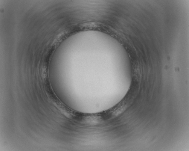 X0000071940708200607281943