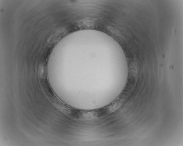 X0000071940709200607281943