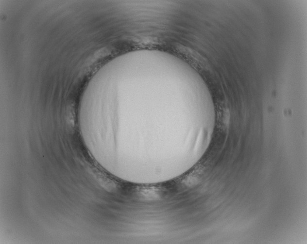 X0000071940710200607281943