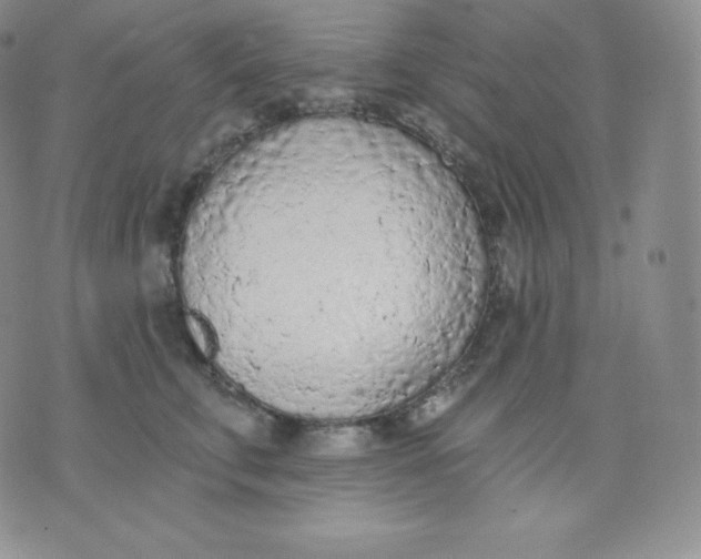 X0000071940711200607281943