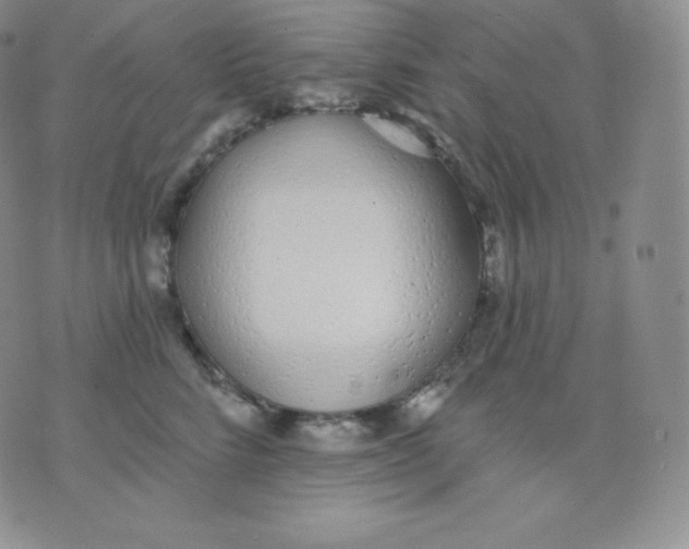 X0000071940712200607281943