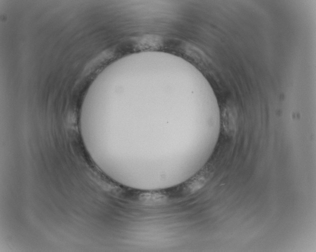 X0000071940714200607281943