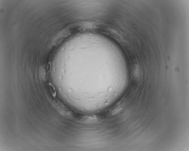 X0000071940715200607281943