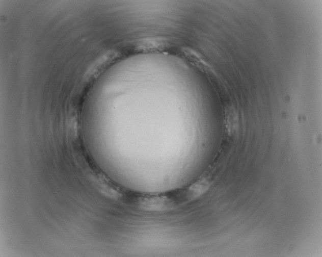 X0000071940716200607281943