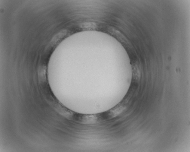 X0000071940717200607281943