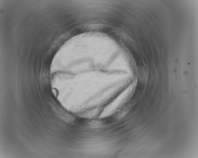 X0000071940718200607281943