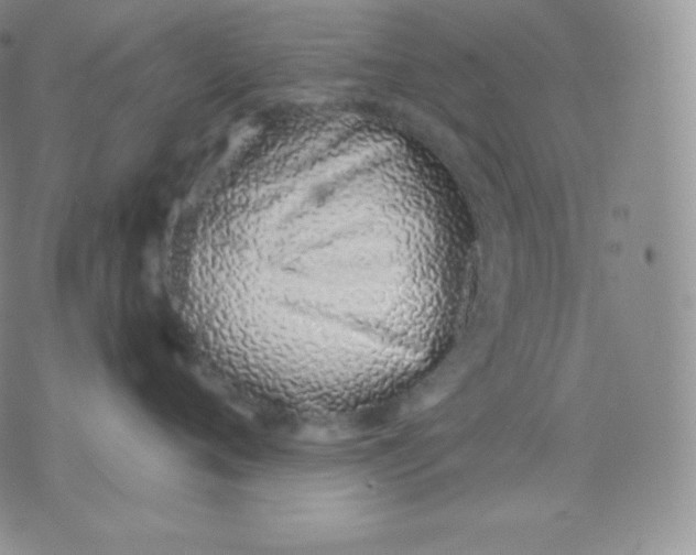 X0000071940720200607281943