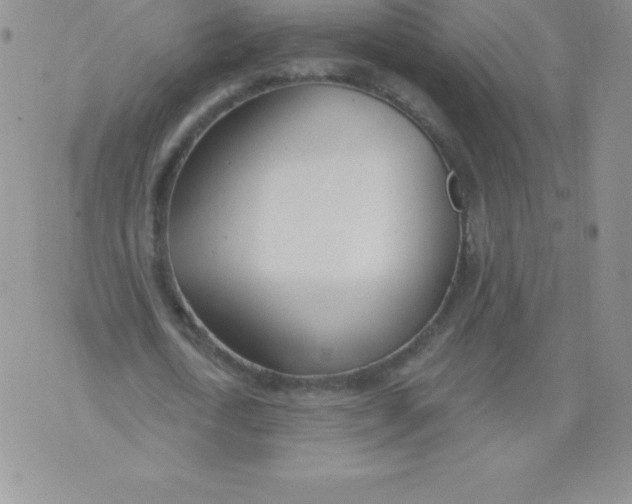 X0000071940722200607281943