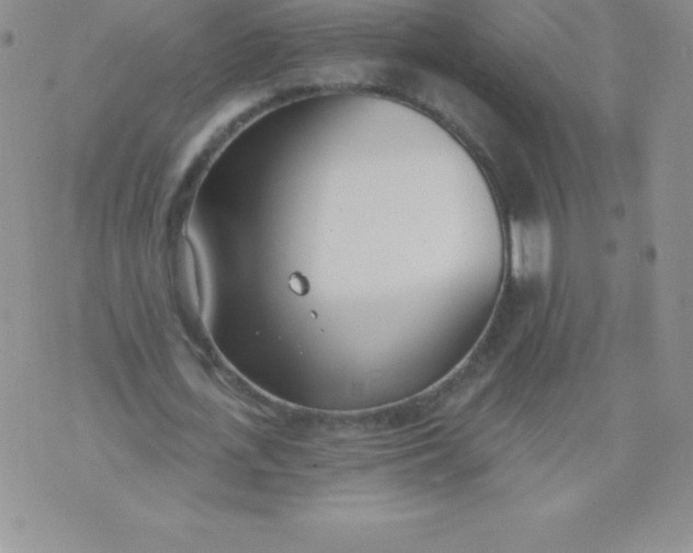 X0000071940723200607281943