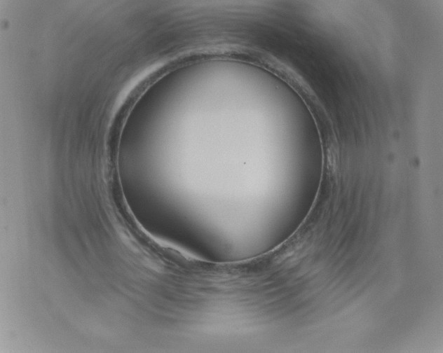 X0000071940724200607281943