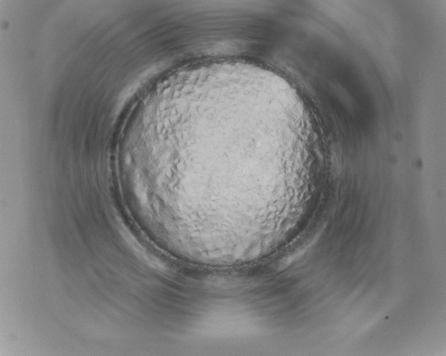 X0000071940725200607281943