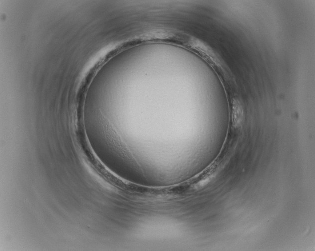 X0000071940726200607281943