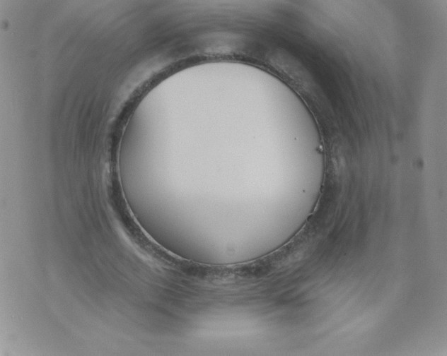 X0000071940728200607281943