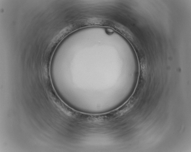 X0000071940729200607281943