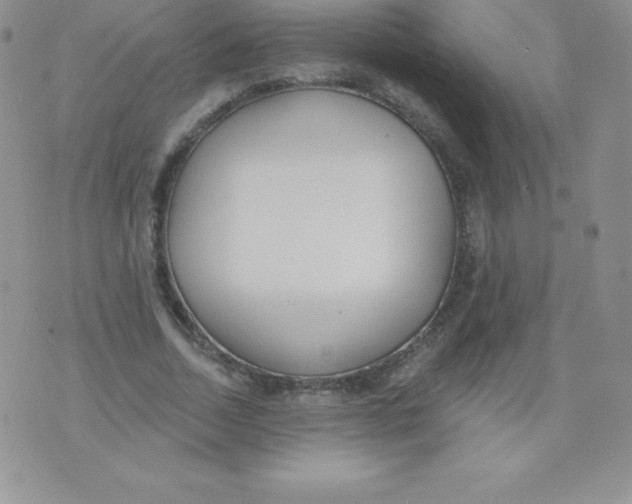 X0000071940730200607281943