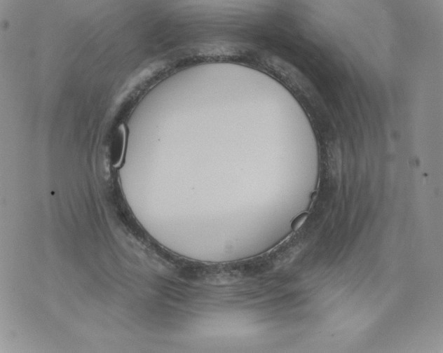 X0000071940731200607281943