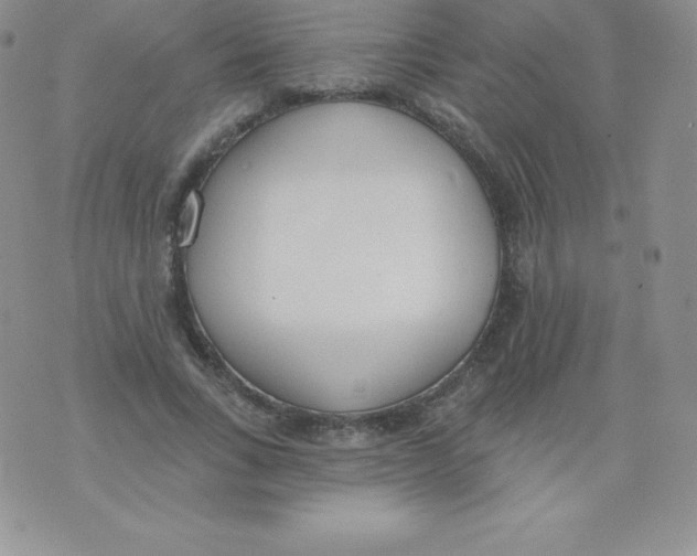 X0000071940735200607281943