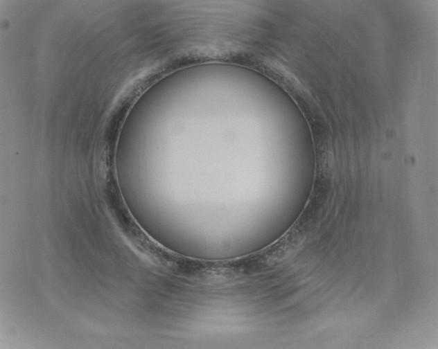 X0000071940736200607281943