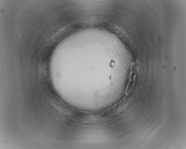 X0000071940737200607281943